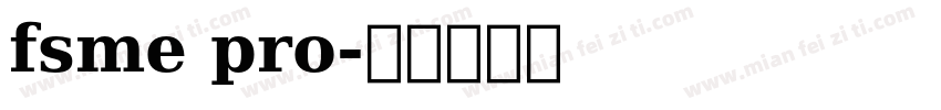 fsme pro字体转换